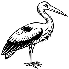 Obraz premium stork--on-a-white-background--no-background-vector