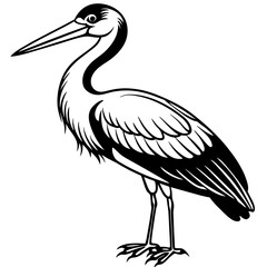 stork--on-a-white-background--no-background-vector