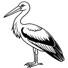 stork--on-a-white-background--no-background-vector