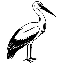stork--on-a-white-background--no-background-vector