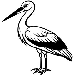 stork--on-a-white-background--no-background-vector