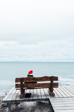 Man sits, dreams and looks at the sea. Rear view, against the backdrop of the sea and waves