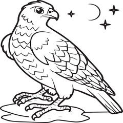 Falcon coloring pages. Falcon bird outline vector for coloring book