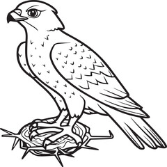 Obraz premium Falcon coloring pages. Falcon bird outline vector for coloring book