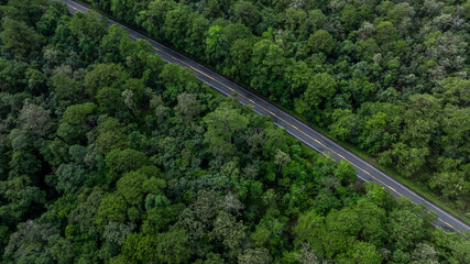 Aerial view asphalt road and green forest, Forest road going through forest view from above, Ecosystem and ecology healthy environment concept and background, Road in the middle of the forest.