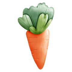 Watercolor illustration of a carrot on a white background. Vector illustration.
