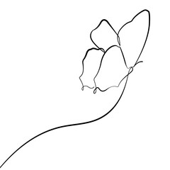 Butterfly Flying Line Art Drawing. Butterfly Line Art Illustration for Minimal Trendy Contemporary Design. Perfect for Wall Art, Prints, Social Media, Posters, Invitations, Branding Design. Vector