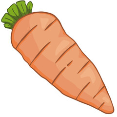 Carrot of drawing PNG,Illustration