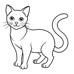   cat vector illustration.
