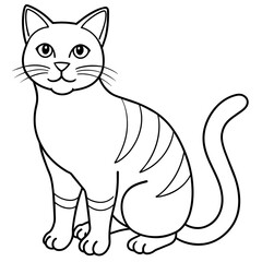   cat vector illustration.
