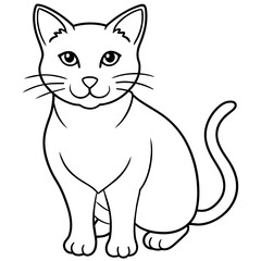   cat vector illustration.
