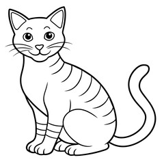   cat vector illustration.
