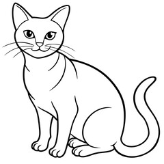   cat vector illustration.
