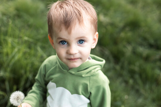Toddler with dandelion flower on grassy field
