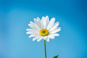 white flower