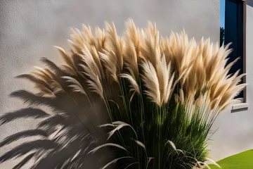 Fotobehang pampas grass © RORON