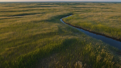 Prairie grasslands viewed from an aerial perspective, contributing to CO absorption.