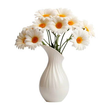 Daisy flower vase isolated on white background