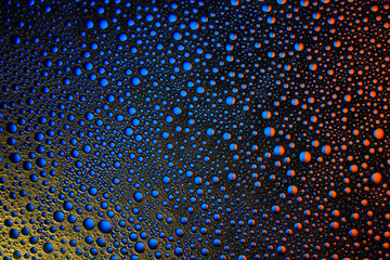 Multicolored water or oil drops on abstract background.