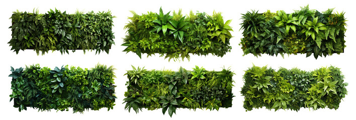 Set of green garden walls from tropical plants, cut out - obrazy, fototapety, plakaty