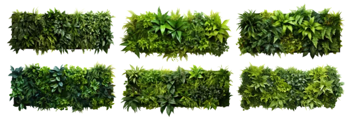 Türaufkleber Set of green garden walls from tropical plants, cut out © Yeti Studio