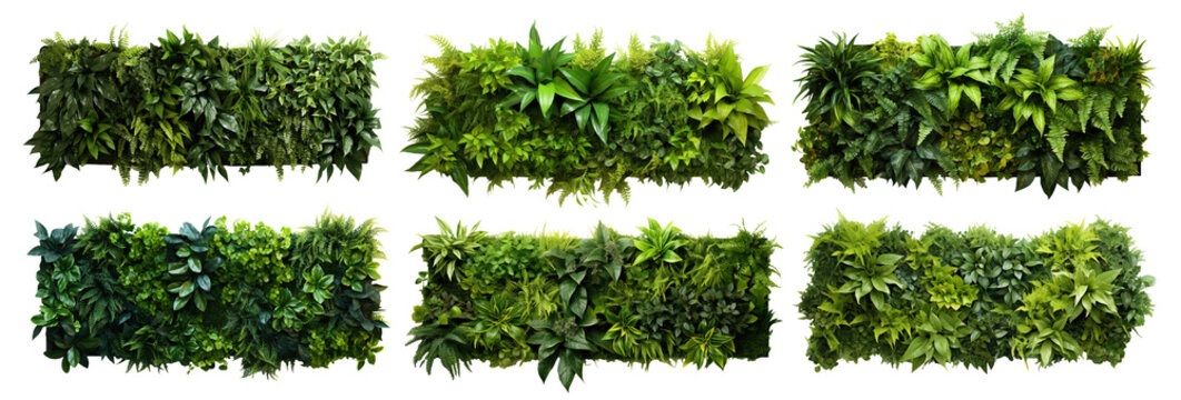 Fototapeta Set of green garden walls from tropical plants, cut out