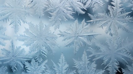 A frost-covered window pane, with delicate ice crystals forming intricate patterns against the glass