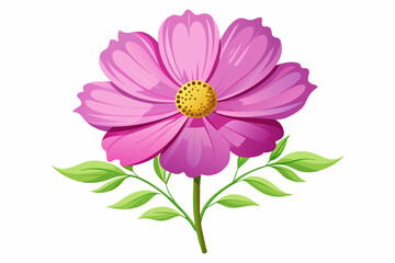  Beautiful cosmos flower with stem and leaves vector illustration 