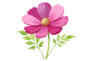  Beautiful cosmos flower with stem and leaves vector illustration 