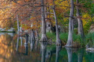 Beautiful Fall Color in Garner State Park Texas - obrazy, fototapety, plakaty