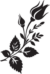 Rose flower bud vector Illustration