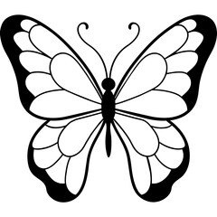     Butterfly vector illustration.
