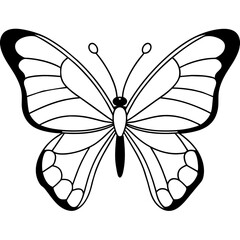     Butterfly vector illustration.
