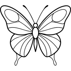    Butterfly vector illustration.
