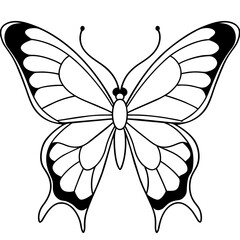     Butterfly vector illustration.
