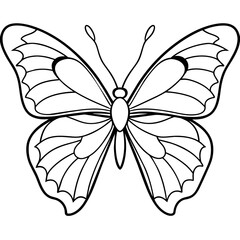     Butterfly vector illustration.
