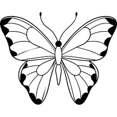     Butterfly vector illustration.
