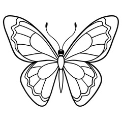     Butterfly vector illustration.
