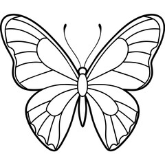     Butterfly vector illustration.
