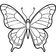     Butterfly vector illustration.
