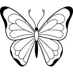     Butterfly vector illustration.
