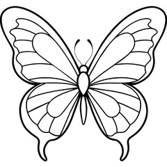     Butterfly vector illustration.
