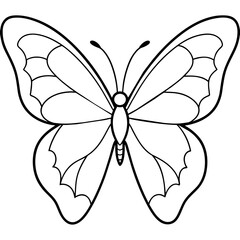     Butterfly vector illustration.

