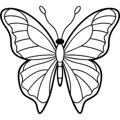     Butterfly vector illustration.

