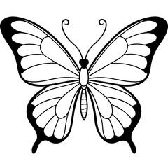     Butterfly vector illustration.
