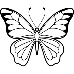     Butterfly vector illustration.
