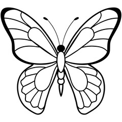     Butterfly vector illustration.
