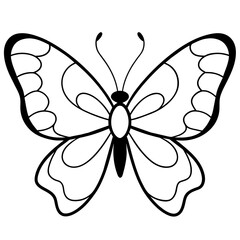     Butterfly vector illustration.
