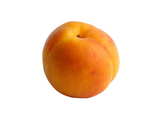 Apricot isolated on transparent background