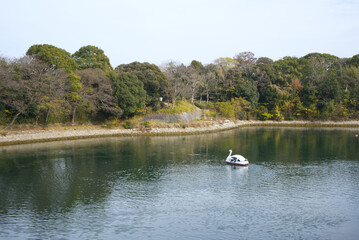Fototapeta na wymiar Duck boats sail on the Asahi River near Okayama Castle